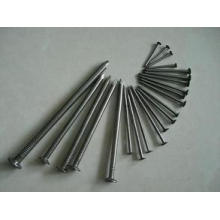 High Quality Common Round Head Nails (3/8"-7")